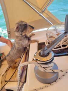 480782364_608298695322892_1085819805116401035_n