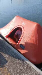 WhatsApp Image 2024-07-22 at 18.36.07