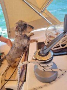 WhatsApp Image 2024-07-23 at 18.57.19